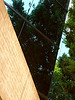 SmugMug > all-time keyword > dark > STREET SEENS photo