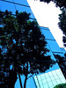 SmugMug > all-time keyword > dark > STREET SEENS photo
