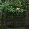 FloraTopia : Winter, Spring and Summer 2008